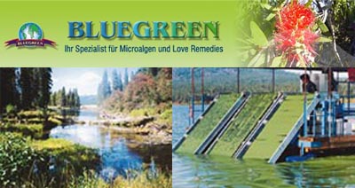 bluegreen