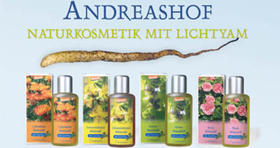 andresashof